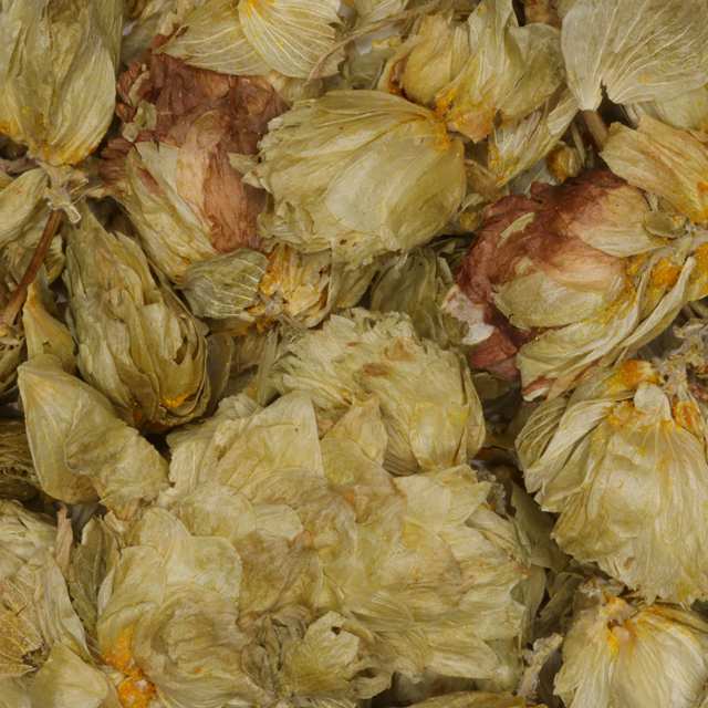 Hop Ongesneden van De Theefabriek, 1x 1 kg